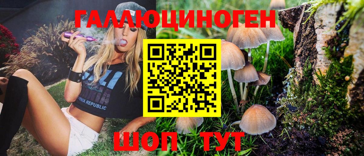 Псилоцибиновые грибы ЛСД  Галлюциногенные грибы Psilocybe  закладка  Лениногорск  Вход с VPN 