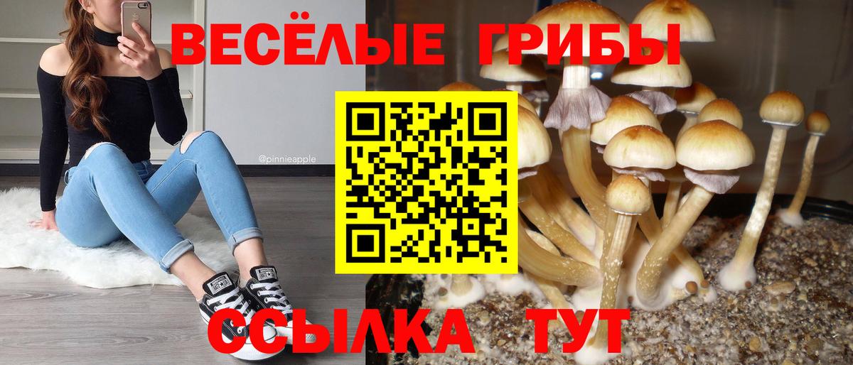 Псилоцибиновые грибы GOLDEN TEACHER Лениногорск